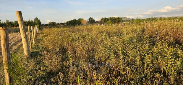 Full 1⁄4 Plot For Sale In Chepkanga Eldoret - main view