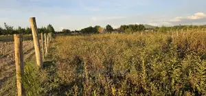 Full 1⁄4 Plot For Sale In Chepkanga Eldoret