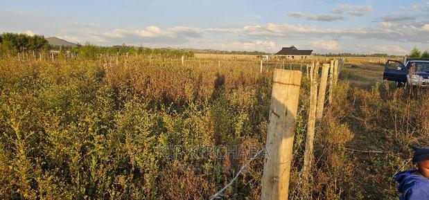 Full 1⁄4 Plot For Sale In Chepkanga Eldoret - thumbnail 4