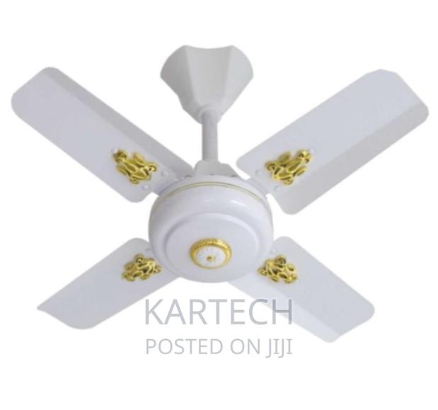 Windsor 24 Inches Ceiling Fan