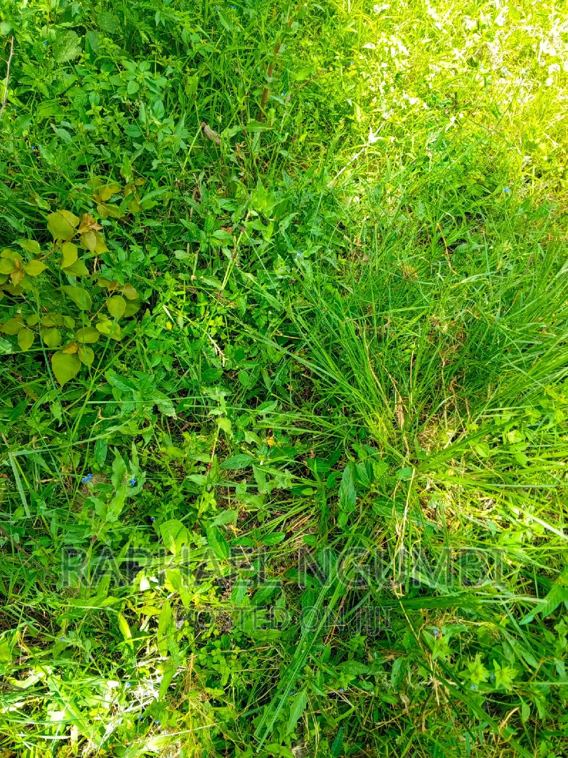 Three (3) Acres at Lukenya Kwa Mboo