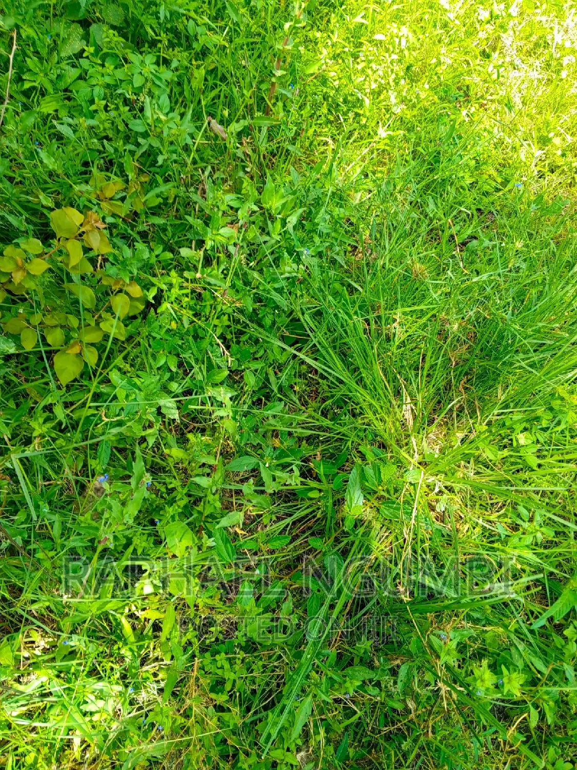 Three (3) Acres at Lukenya Kwa Mboo