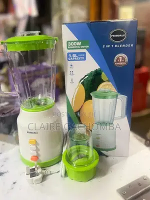 2 in 1 Primadell Blender 300watts