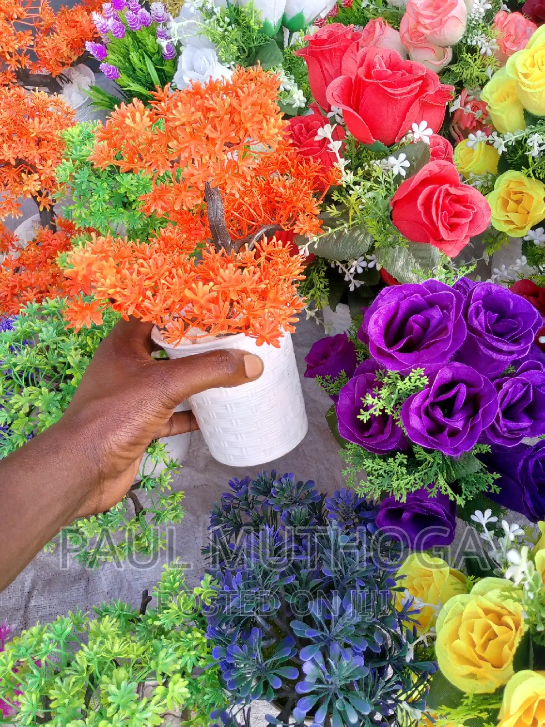 Plant Pots #21