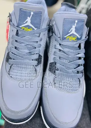Jordan 4 Cool Grey Sneakers