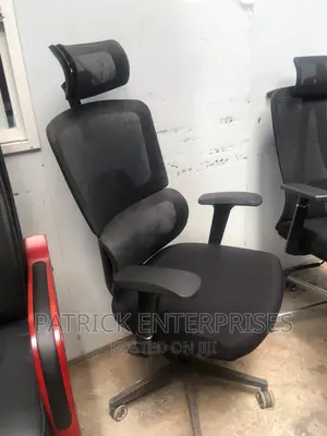 Executive Imported Morden Orthopedic Office Chair