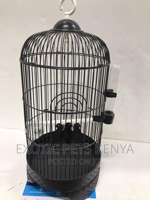 Round Canary Cage - main view