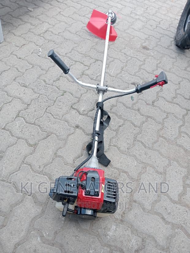 2 Stroke Hawk King Available - main view