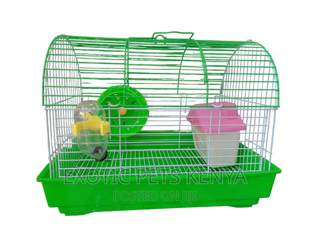 Hamster Cage