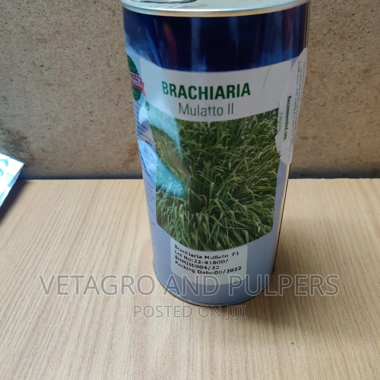 Brachiaria Mulatto II Grass Seeds