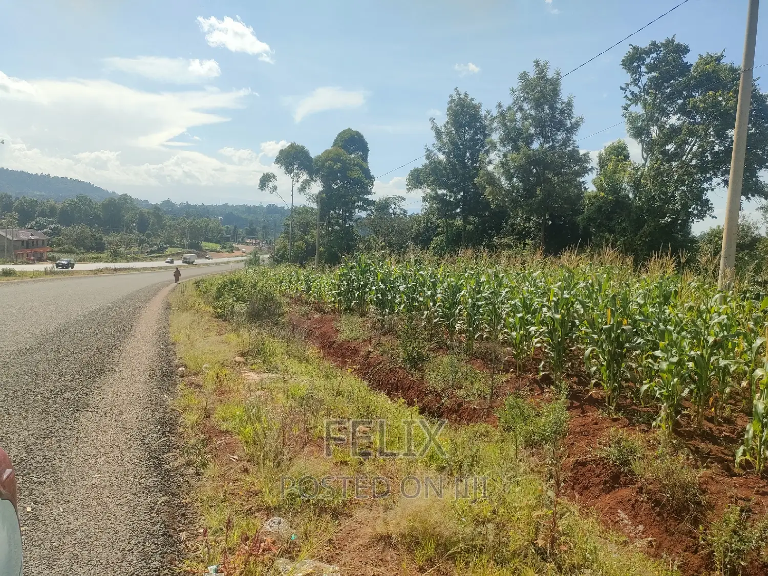 Karatina Mathaithi Superhighway 1.5 Acres