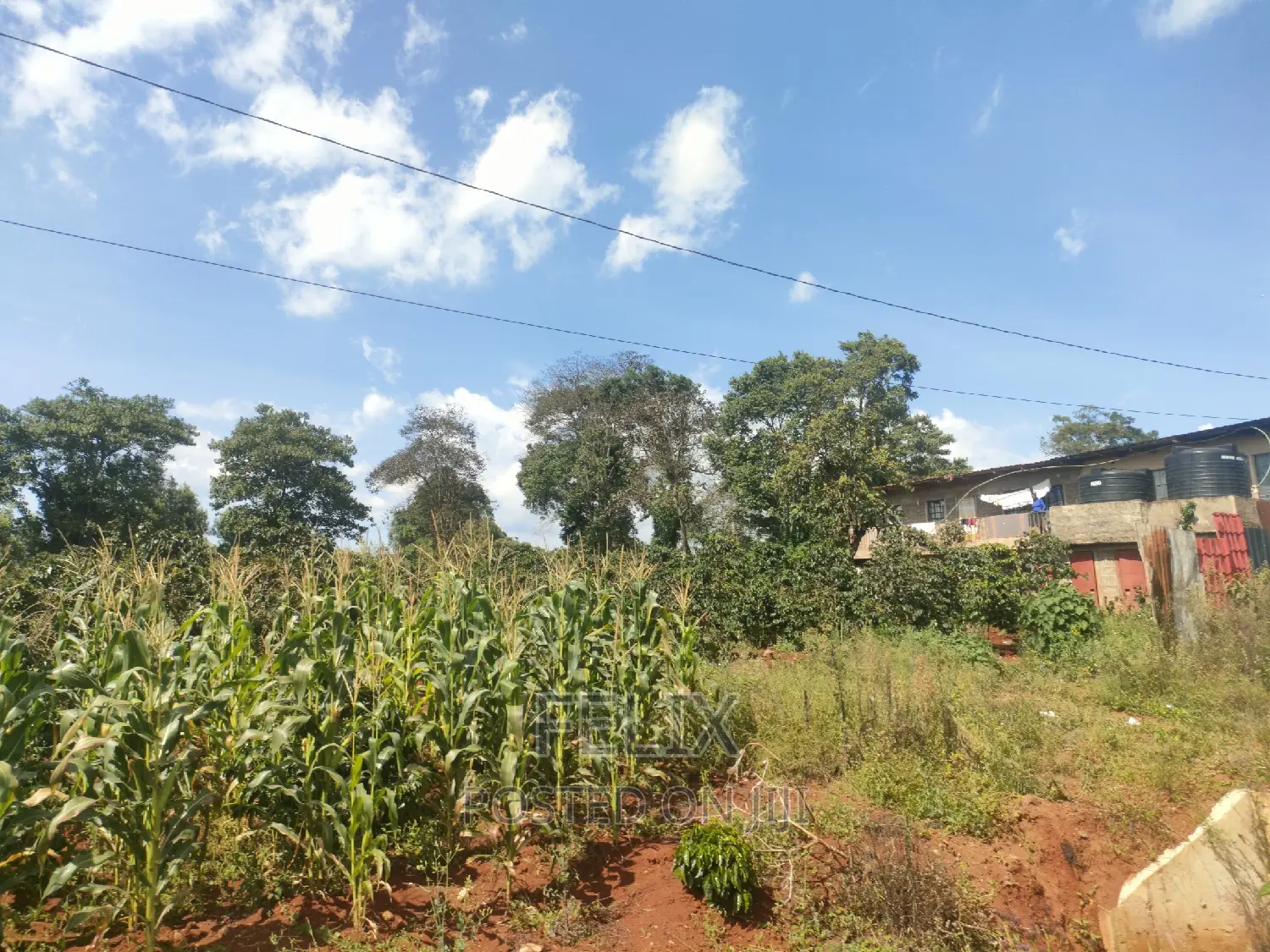 Karatina Mathaithi Superhighway 1.5 Acres