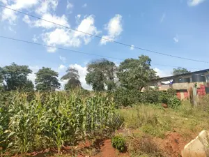 Karatina Mathaithi Superhighway 1.5 Acres