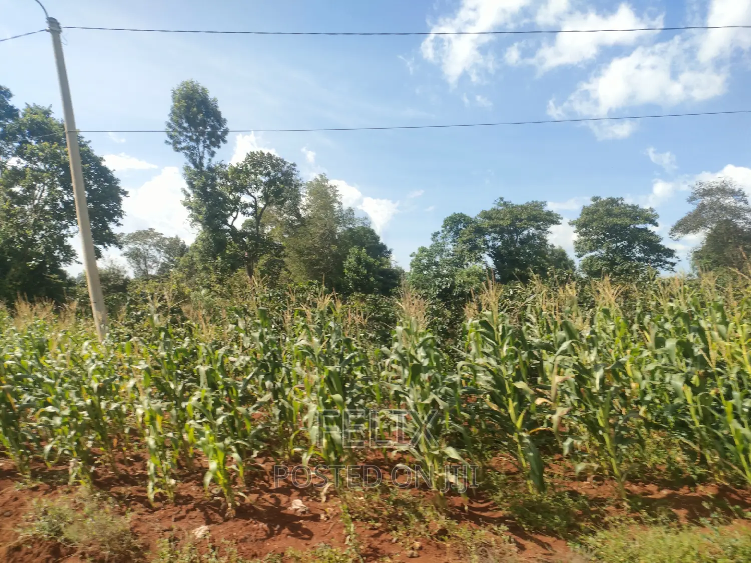 Karatina Mathaithi Superhighway 1.5 Acres