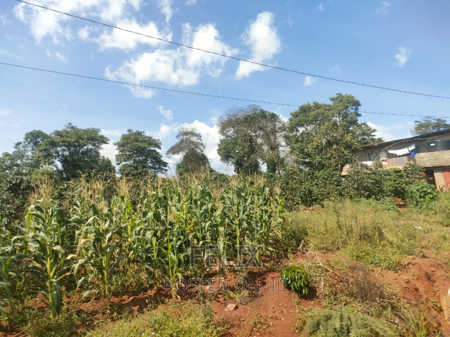 Karatina Mathaithi Superhighway 1.5 Acres