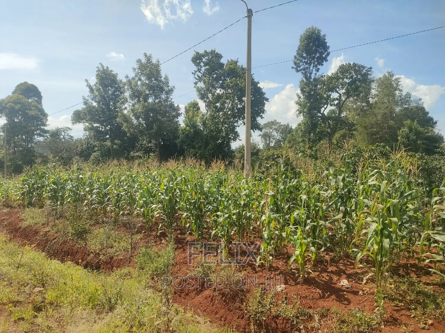 Karatina Mathaithi Superhighway 1.5 Acres