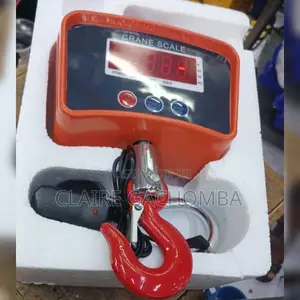 500kgs Scale Crane Digital Weighing Scale