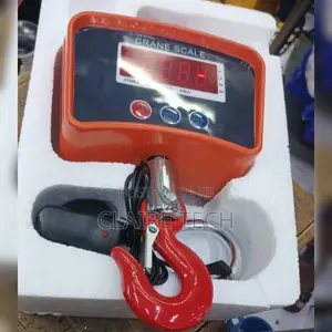 500kgs Scale Crane Digital Weighing Scale