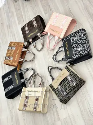 Fendi Classy Bags  All Colors Available 