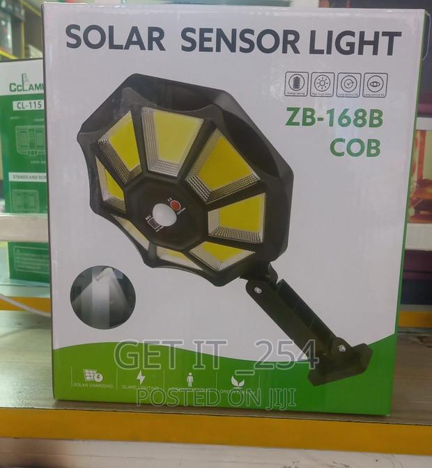 Solar Sensor Light