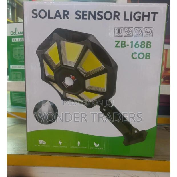 Solar Sensor Light