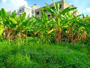 Commercial Half Acre in Vet, Ngong With Perimeter Wall