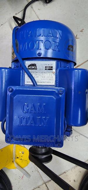 Rhino 2hp Electric Motor - main view