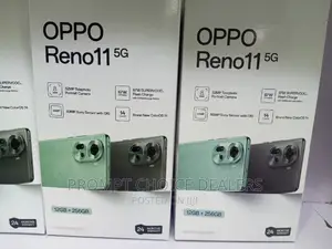 New Oppo Reno11 5G 256 GB Gray