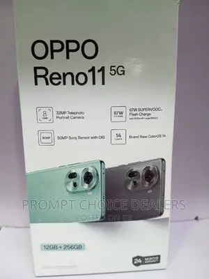 New Oppo Reno11 5G 256 GB Gray