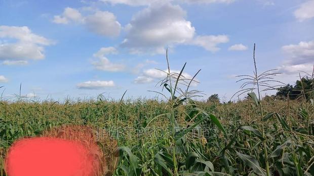 95 Acres for Sale - thumbnail 2