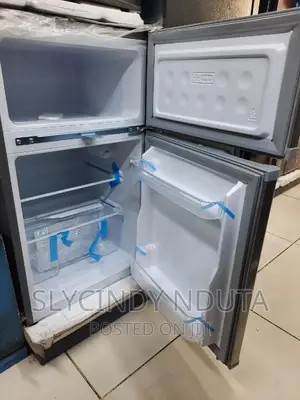 Roch Fridge 2 Double Door Refrigerator
