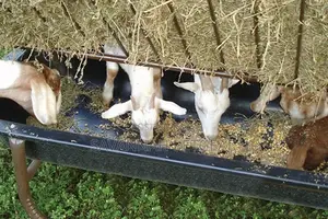 Sheep Goat Feeder With Hay Rack