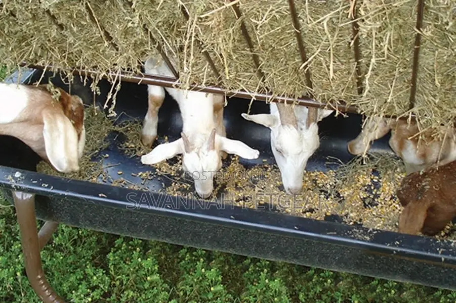 Sheep Goat Feeder With Hay Rack