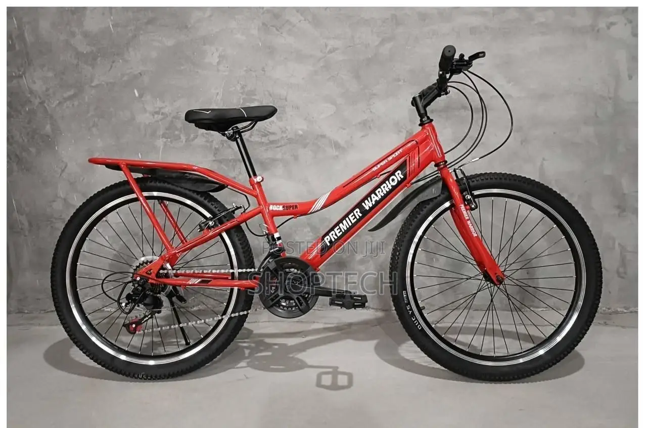 Premier Warrior Size 24 Bicycle