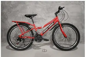 Premier Warrior Size 24 Bicycle