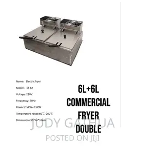 Commercial Deep Fryer