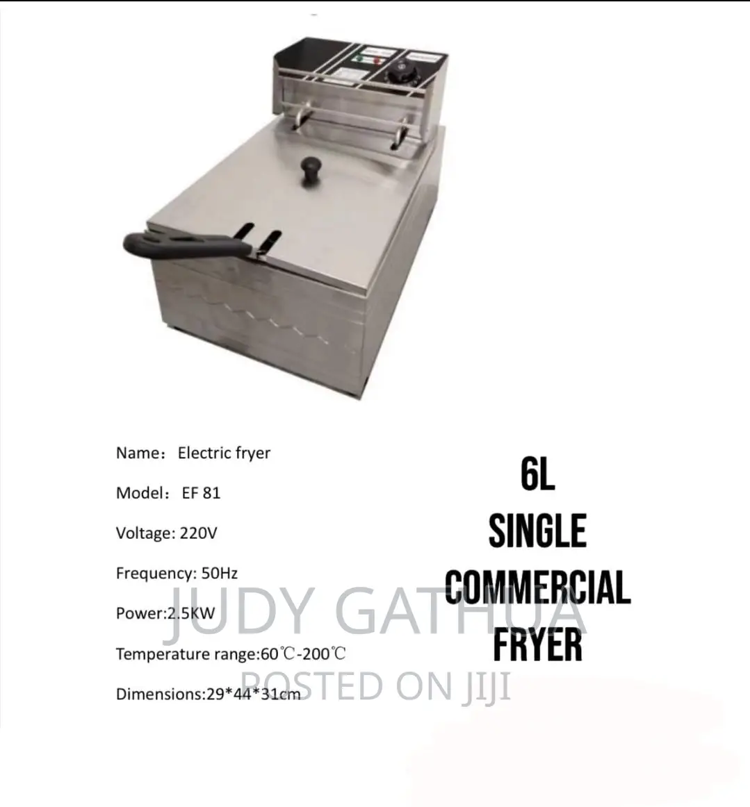 Single Deep Fryer