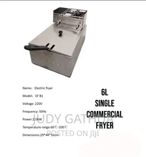 Single Deep Fryer