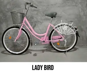 Premier Ladybird Size 26 Bicycle