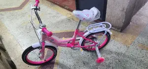 Lady Bird Bike Size 16