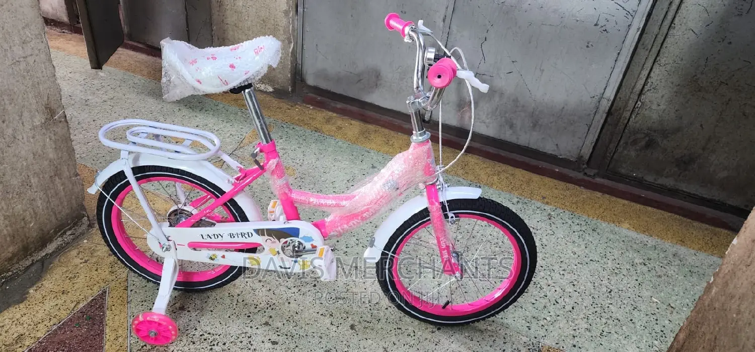 Classy Girl Bike With Training Wheels