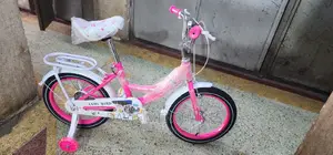 Classy Girl Bike With Training Wheels