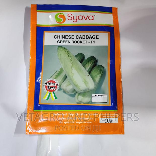 Chinese Cabbage Green Rocket F1 Seeds (Syova)