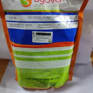 Coriander Green Aroma Seeds (Syova) / Dhania