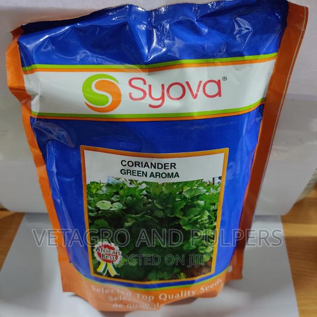 Coriander Green Aroma Seeds (Syova) / Dhania