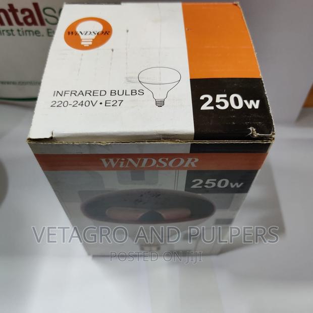 Windsor Infrared Bulbs - main view