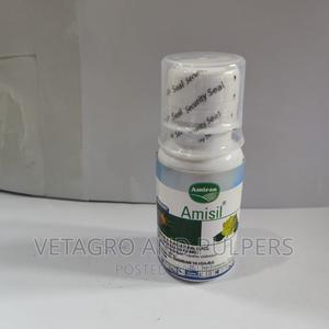 Amisil (Amiran) - thumbnail 2