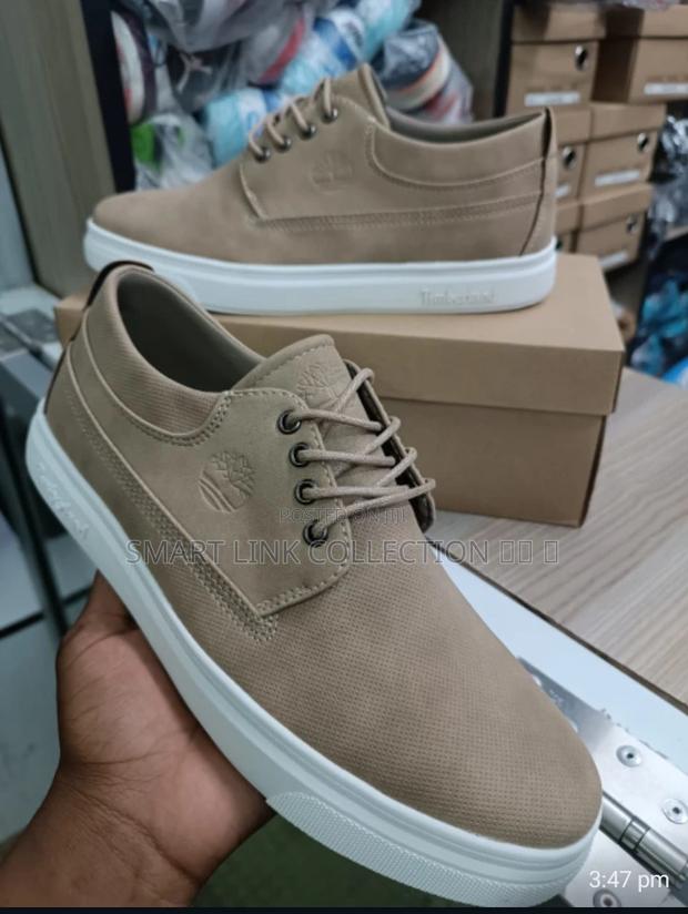 Timberland Lacoste Casuals 