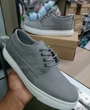 Timberland Lacoste Casuals 