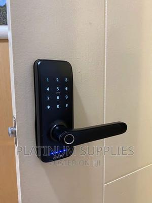 Password Lock and Biometrics Lock - main view